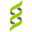 Helix Real Server
